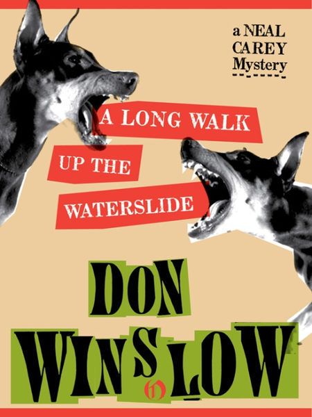 Titelbild zum Buch: A Long Walk Up the Waterslide